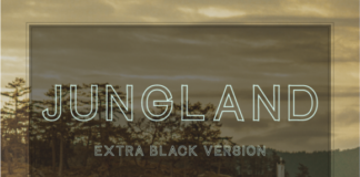 Jungland Outline Extra Black Font