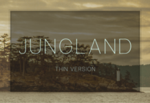 Jungland Thin Fonts