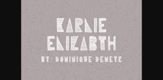 Karlie Elizabeth Font Poster 1