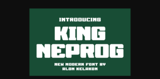 King Neprog Font Poster 1