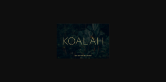 Koalah Font Poster 1