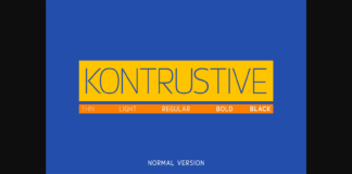 Kontrustive Font Poster 1