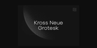 Kross Neue Grotesk Font Poster 1