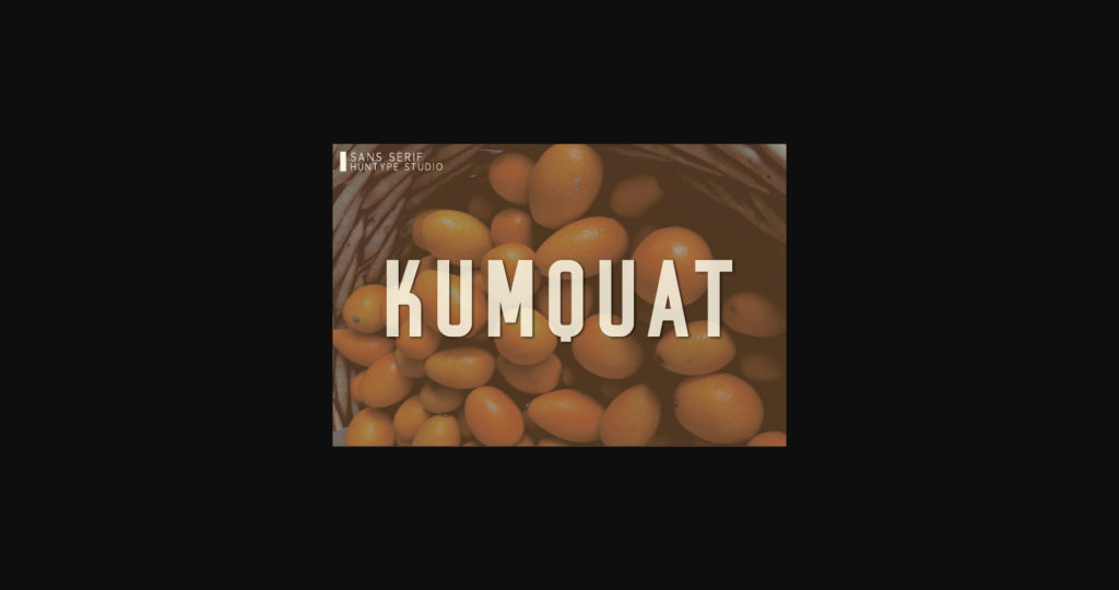 Kumquat Font Poster 3