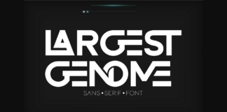 Largest Genome Font Poster 1