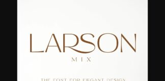 Larson Mix Font Poster 1