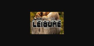 Leisure Font Poster 1
