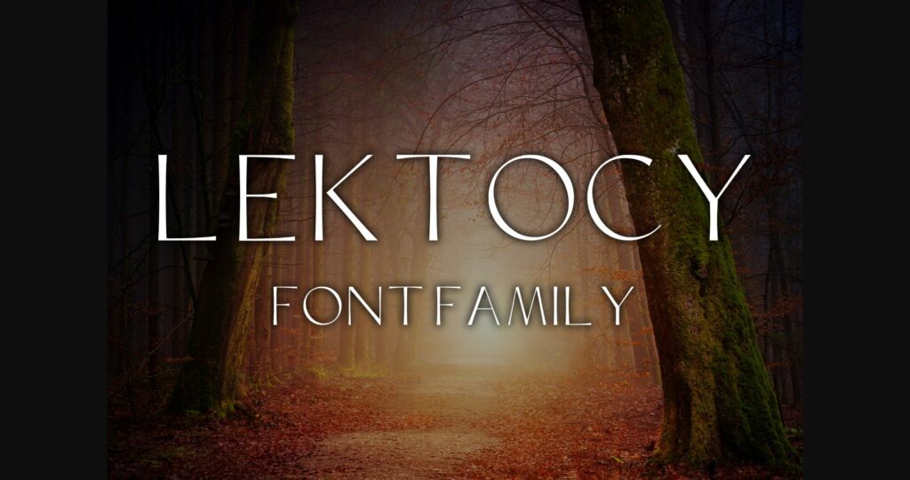 Lektocy Font Poster 1