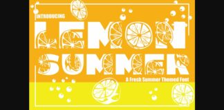 Lemon Summer Font Poster 1