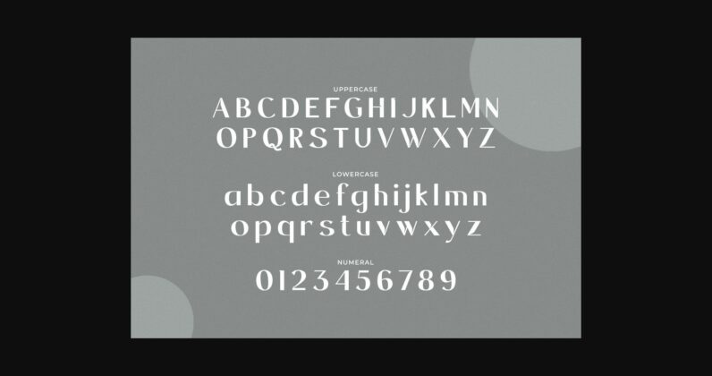 Leoklyin Font Poster 4