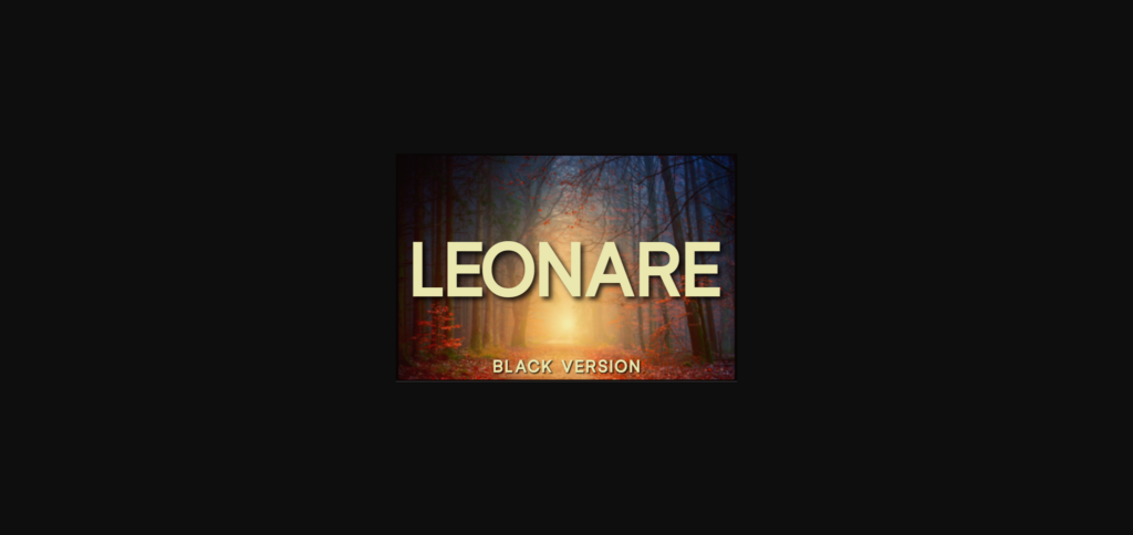 Leonare Black Font Poster 3
