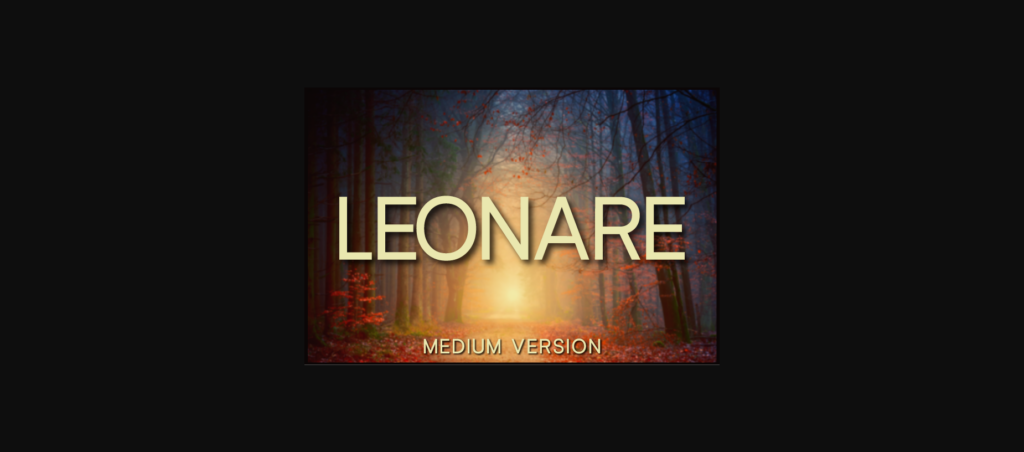 Leonare Medium Font Poster 3