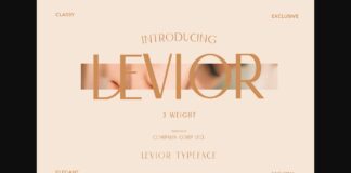 Levior Font Poster 1