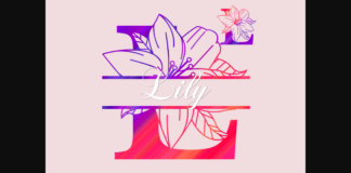 Lily Split Font Poster 1