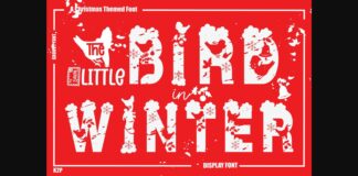 Little Bird in Winter Font Poster 1