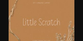 Little Scratch Font Poster 1