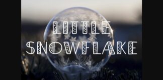 Little Snowflake Font Poster 1