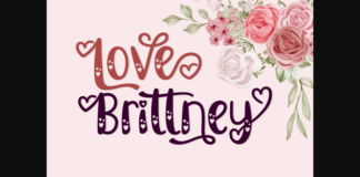 Love Brittney Font Poster 1