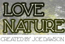 Love Nature Font