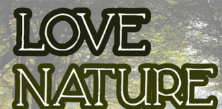 Love Nature Font