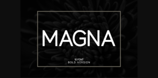 Magna Bold Font Poster 1