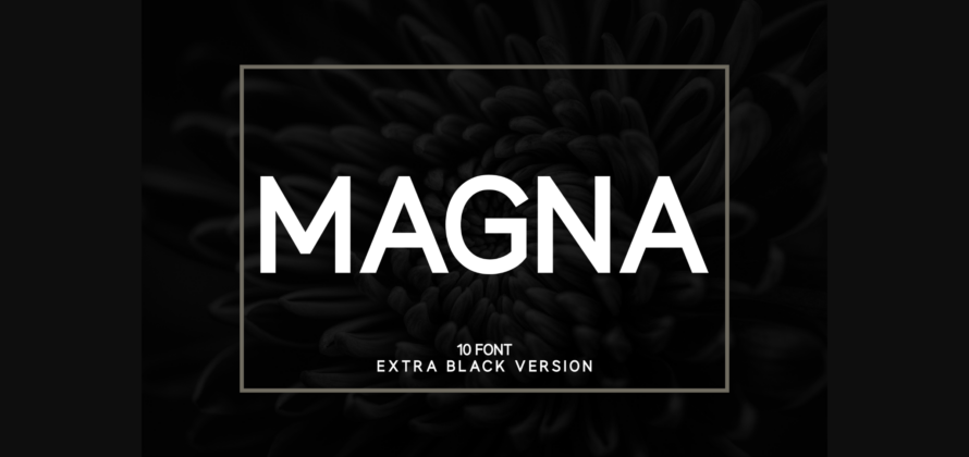 Magna Extra Black Font Poster 3