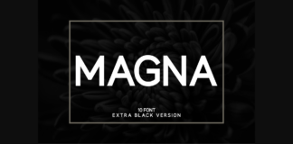 Magna Extra Black Font Poster 1