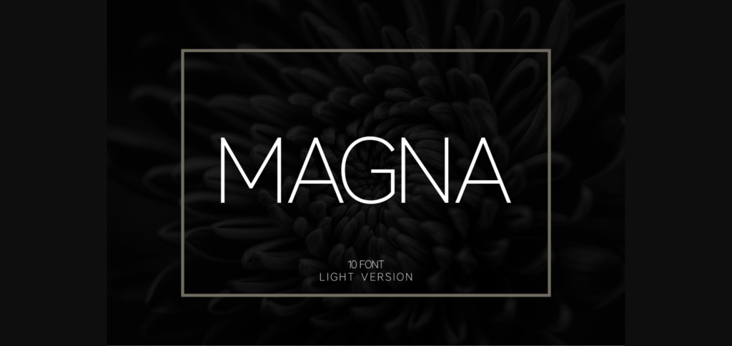 Magna Light Font Poster 3