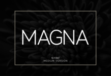 Magna Medium Font