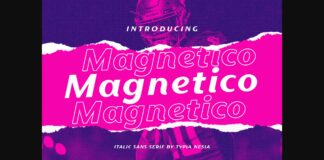 Magnetico Font Poster 1