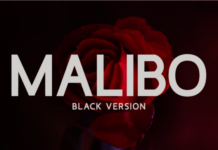 Malibo Black Font