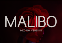 Malibo Medium Font