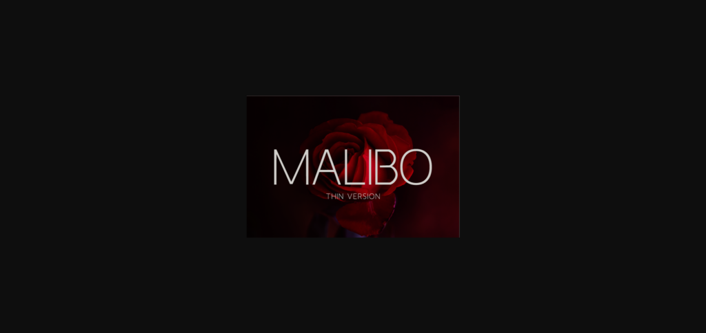 Malibo Thin Font Poster 1