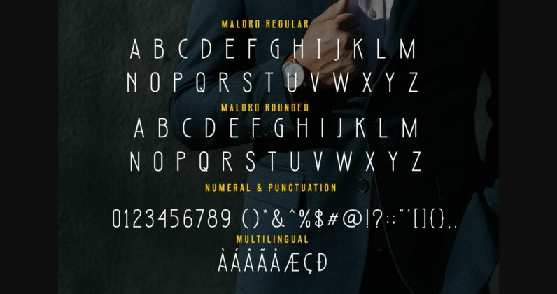 Malord Font Poster 8