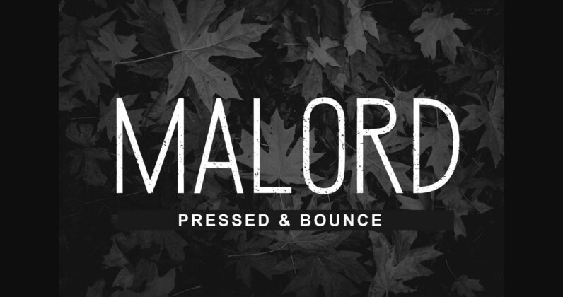 Malord Font Poster 9