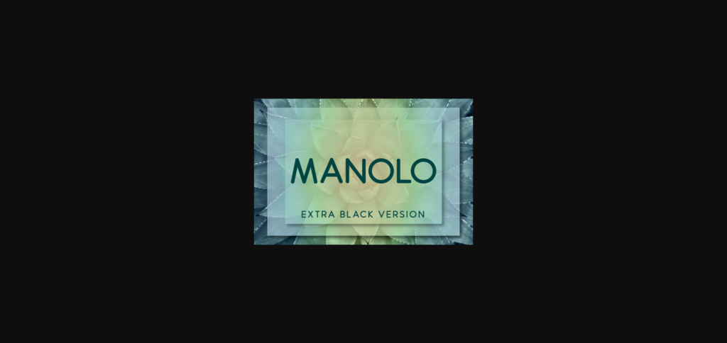 Manolo Extra Black Font Poster 3