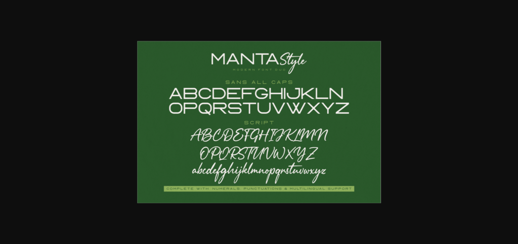 Manta Style Font Poster 10