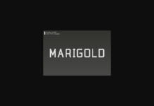 Marigold Font Poster 1