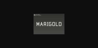 Marigold Font Poster 1