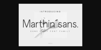 Marthin Sans Font Poster 1