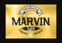 Marvin Light Poster 1