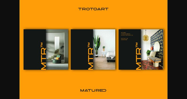 Matured Font Poster 6