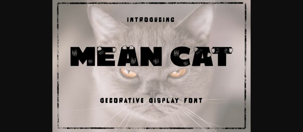 Mean Cat Font Poster 3