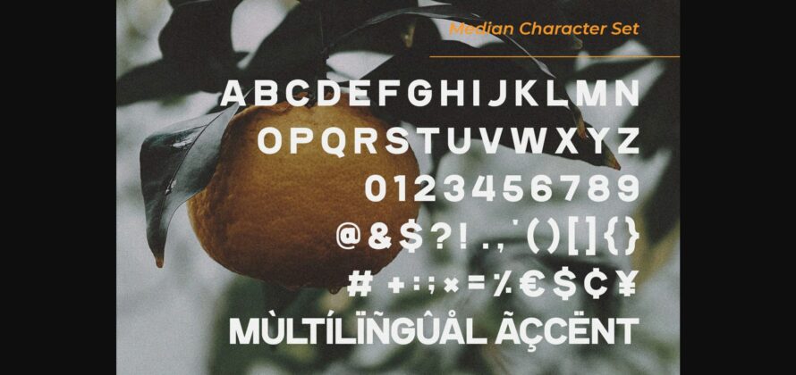 Median Font Poster 8