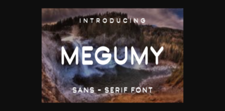 Megumy Font Poster 1