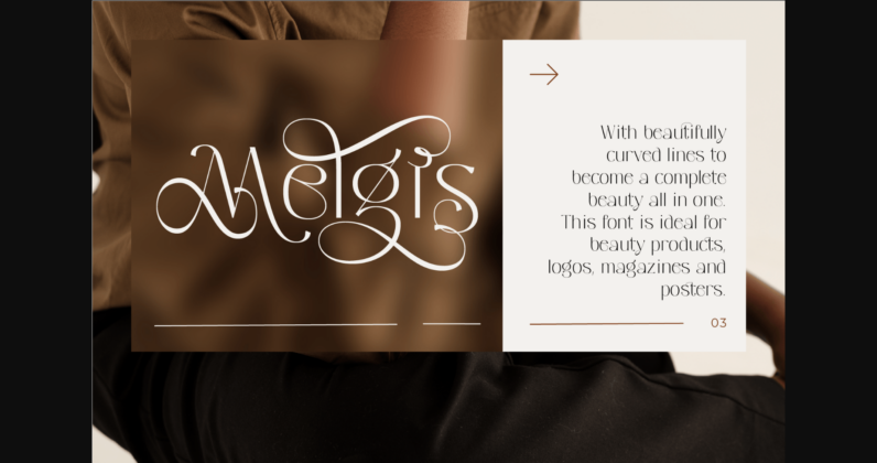 Melgis Font Poster 4