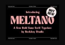 Meltano Font Poster 1