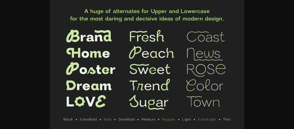 Modern Sans Font Poster 7