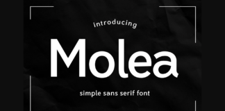 Molea Font Poster 1