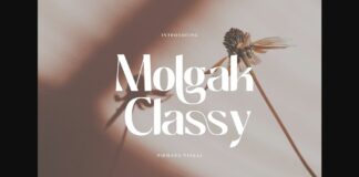 Molgak Classy Font Poster 1